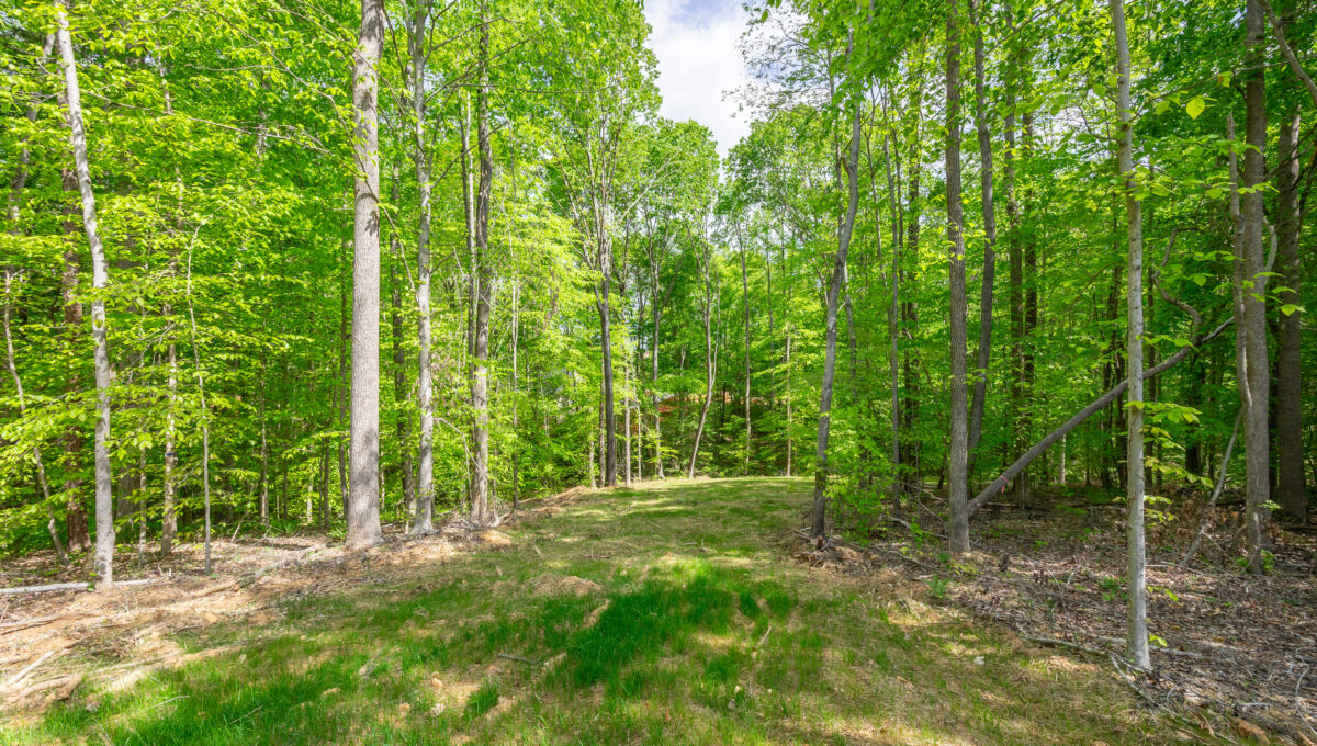 2983 Wesley Farm Lane-33