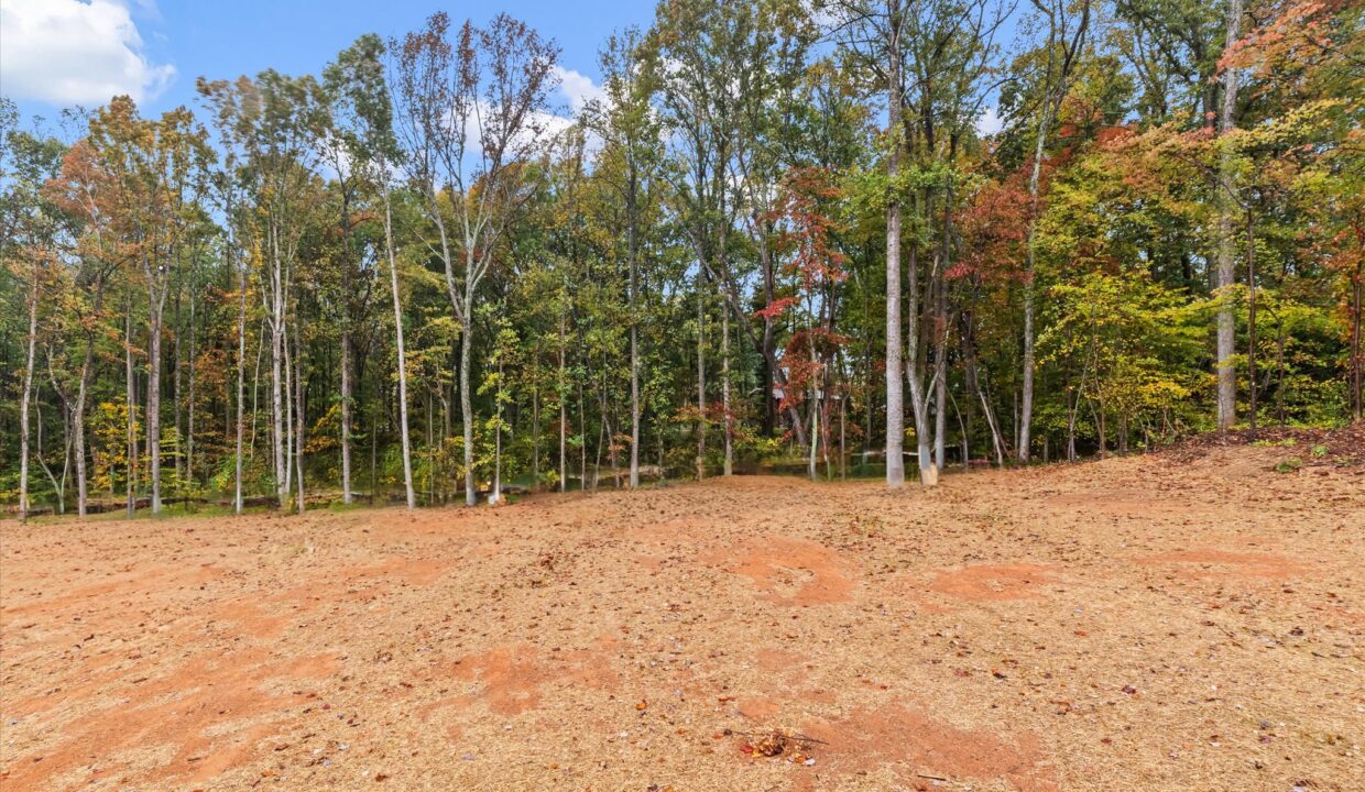 32-6067 Frye Bridge Road Back Yard