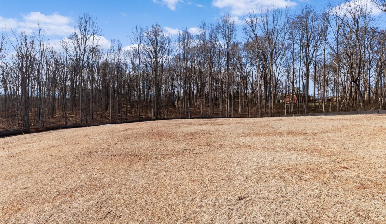 39-6061 Frye Bridge Road Back Yard